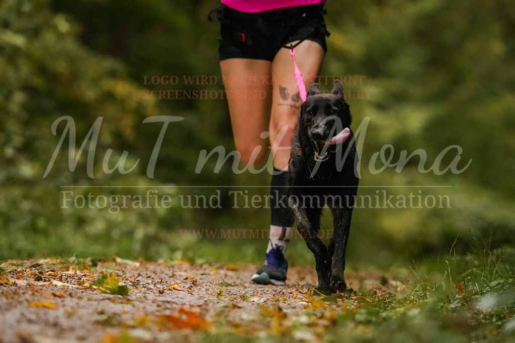20251005_THS_Turnier-135 | MuT (Mensch und Tier) mit Mona - Fotografie und Tierkommunikation - Realisiert mit Pictrs.com