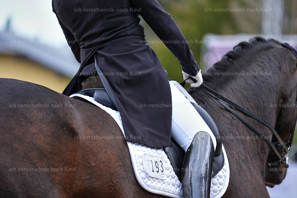 10-193-ST.GEORG SPECIAL -Marixx-3386 | working equitationturnier fotograf videograf stoibphotography marixx film working equitation deutschland reitsport turnierfotografie eventfotografie equestrian events