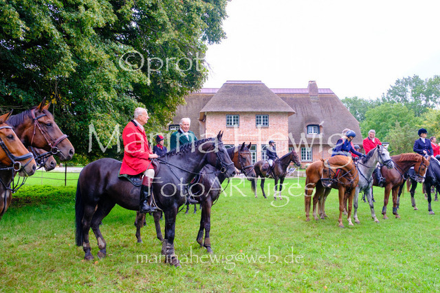Jagd Perdoel 26 Fuji-9903_MarinaHewig | Fotografie, FotoArt, PferdesportArt, Pferdesportfotografie, Landschaftsfotografie, Reisefotografie, Reise, Pferde - Realisiert mit Pictrs.com