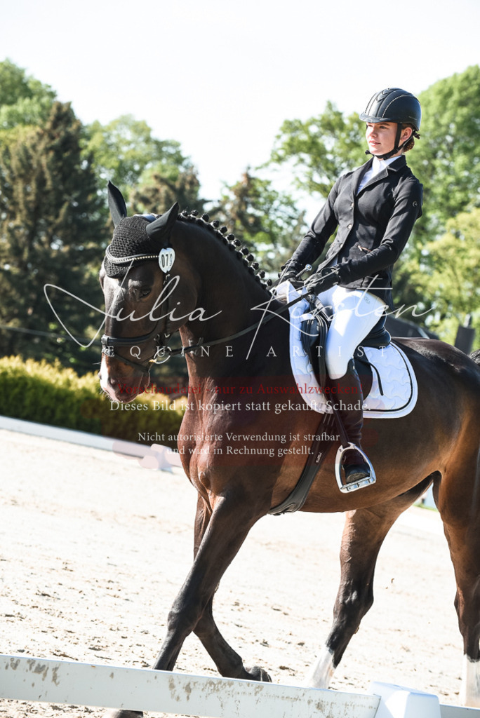 20230518_JK-Röhrsdorf-09-0554 | Pferde- und Turnierfotografie in Westsachsen. Pferdeportraits, Auftragszeichnungen und intuitive Kunst.