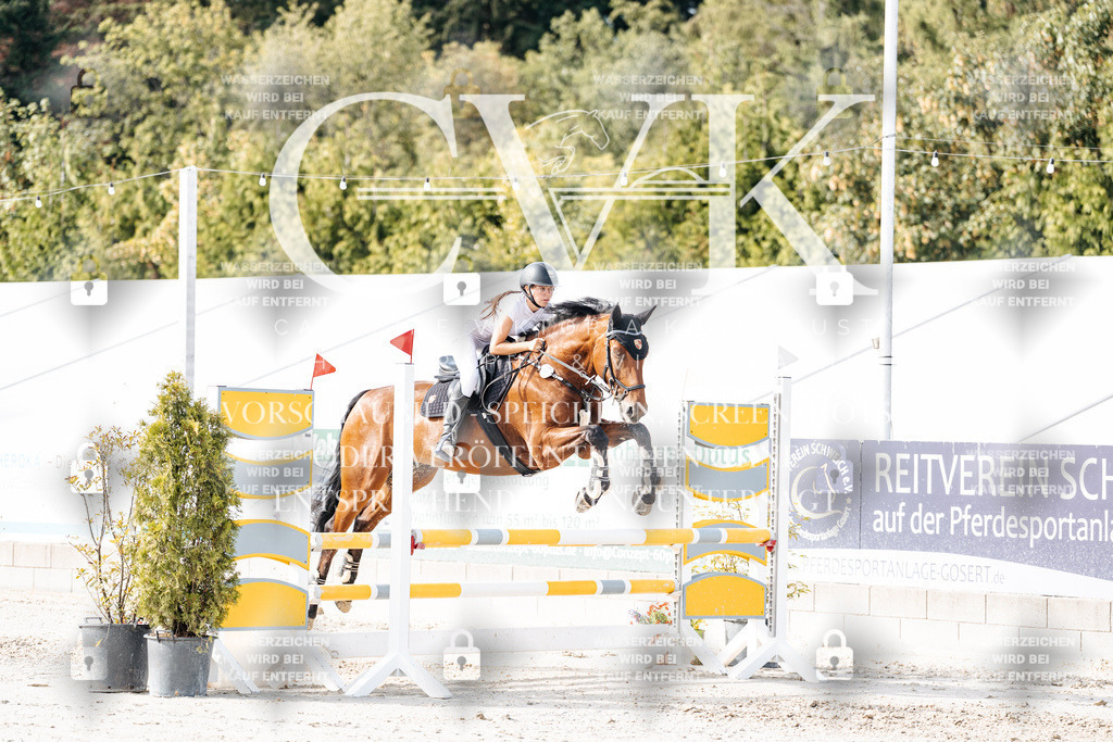 CK905880 | Turnierfotografie Pferdefotografie Trier Rheinland-Pfalz Pferdesport Reitsport Tierfotografie Sportfotografie Pferdevideo Pferdevideografie Equestrianvideography equestrianphotography  - Realisiert mit Pictrs.com