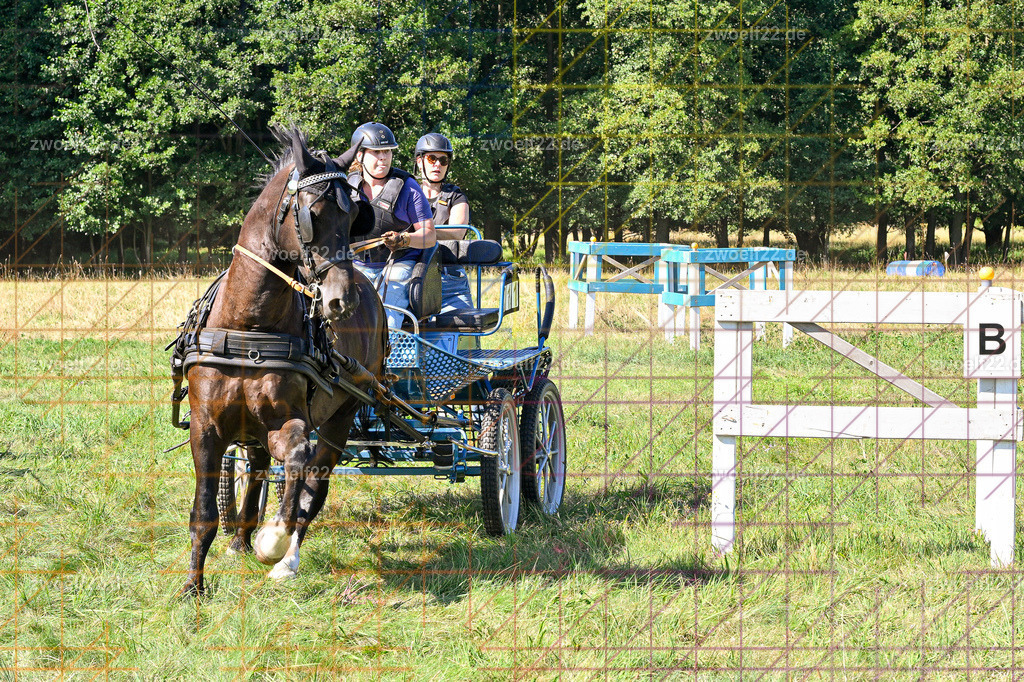 30 Jahre RFV Pulsnitz e.V., Pulsnitz am 09.08.2026 | 30Jahre Reit- und Fahrverein Pulsnitz e.V., Pulsnitz am 08.08.2026Zur 28. breitensportlichen Veranstaltung des RFV Pulsnitz e.V. fanden verschiedene Wettbewerbe in nahezu allen Disziplinen des Pferdesport statt.- Geländefahr-Wettbewerb - Realisiert mit Pictrs.com