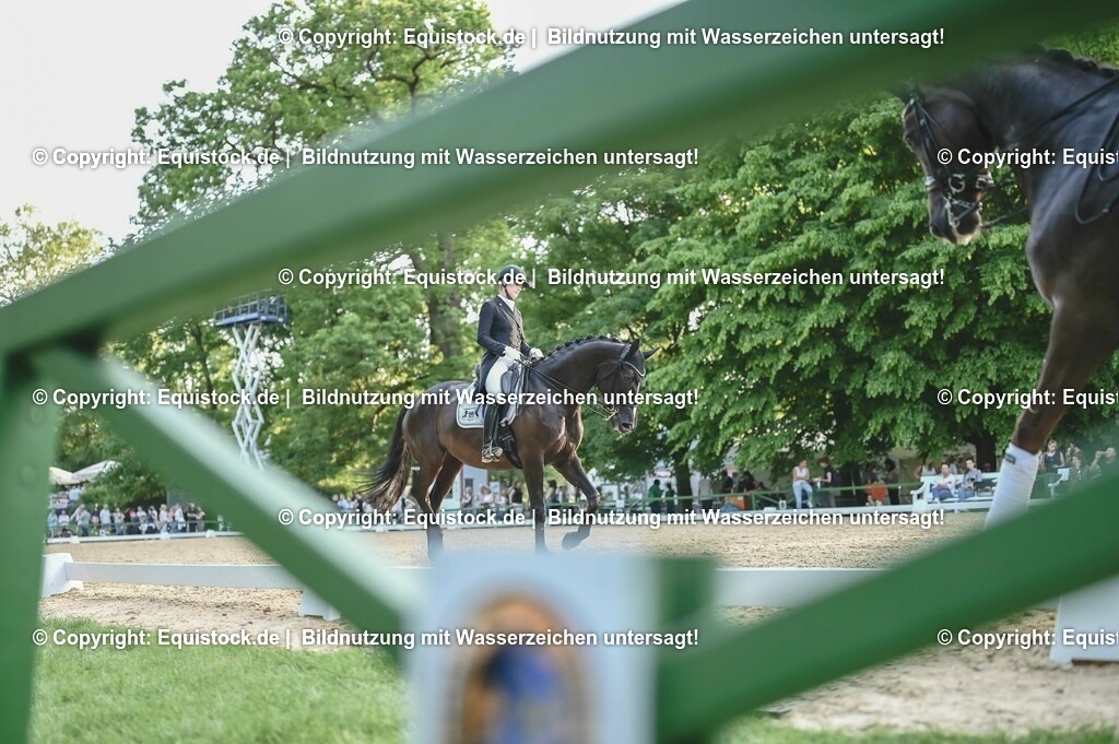 D78_3823 | equistock