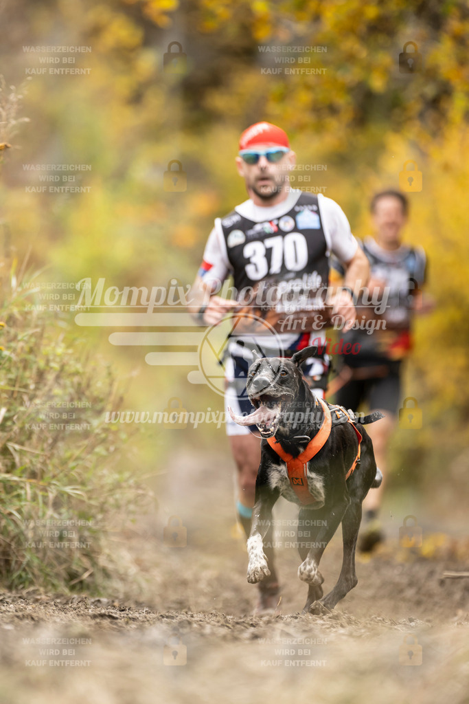 MompixPhotography_ICF_WC_2024_SA_Run_-307 | PayLife