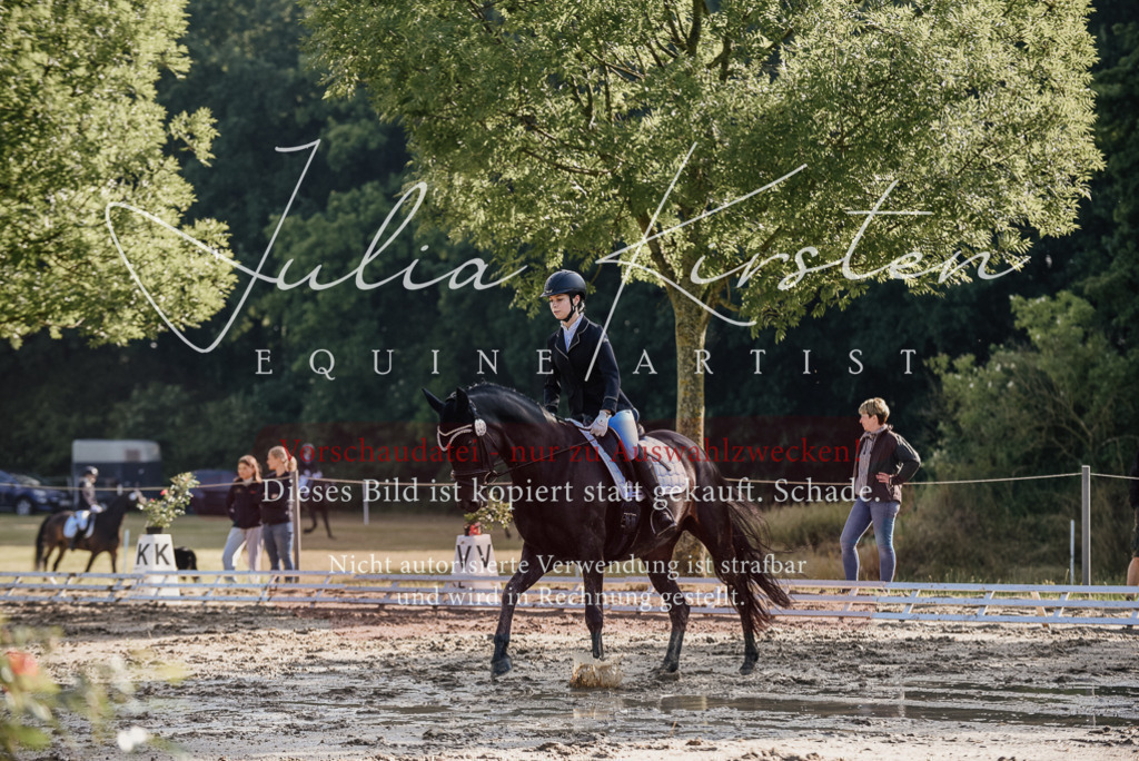 DSC_7844 | Pferde- und Turnierfotografie in Westsachsen. Pferdeportraits, Auftragszeichnungen und intuitive Kunst.