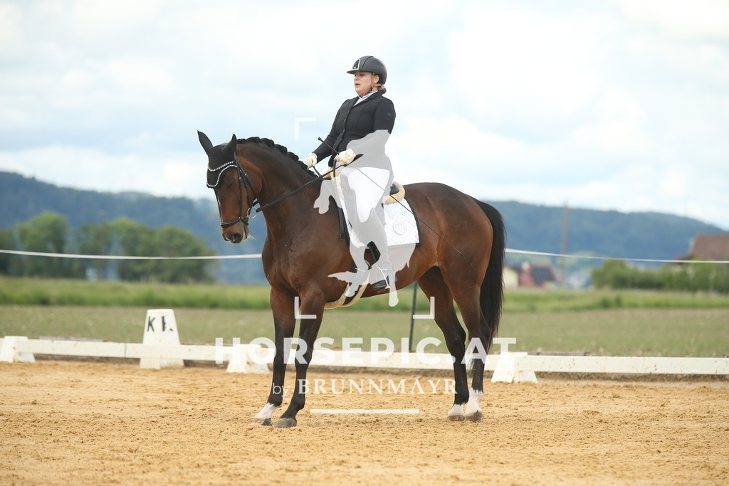 AS8V1765 | Willkommen bei Brunnmayr - Design & Fotografie – Ihrem Spezialisten für Reitturniere und Pferdeveranstaltungen in Oberösterreich, Salzburg und Bayern! Seit über 17 Jahren sind wir leidenschaftlich dabei.