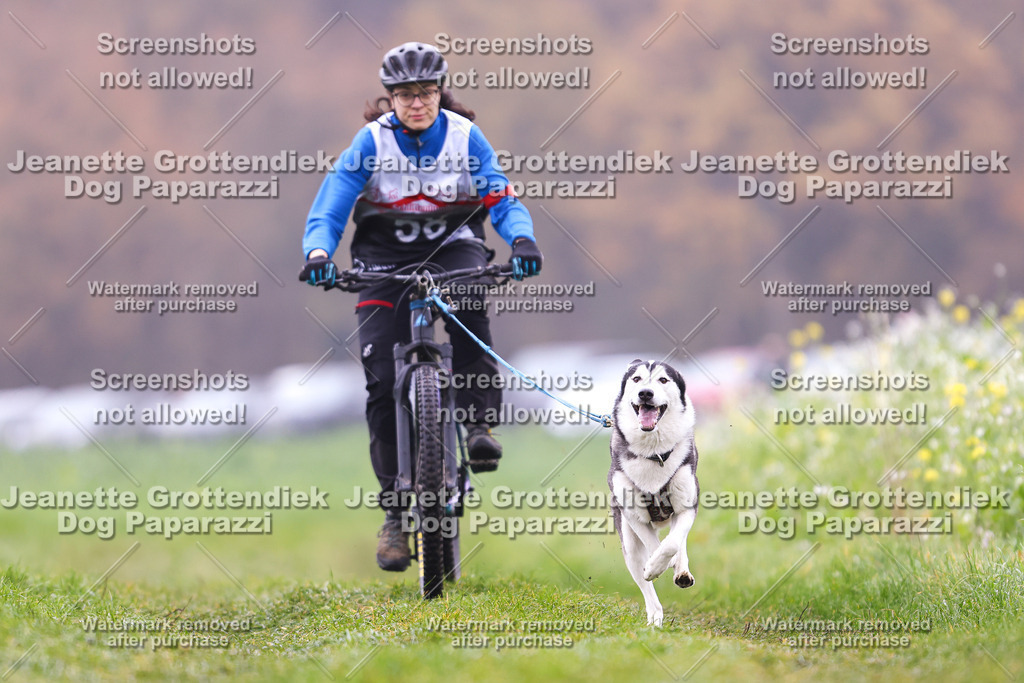 Dog Paparazzi - Visbeck 25 -181 | Dog Paparazzi Jeanette Grottendiek Fotografie & Videografie - Realisiert mit Pictrs.com