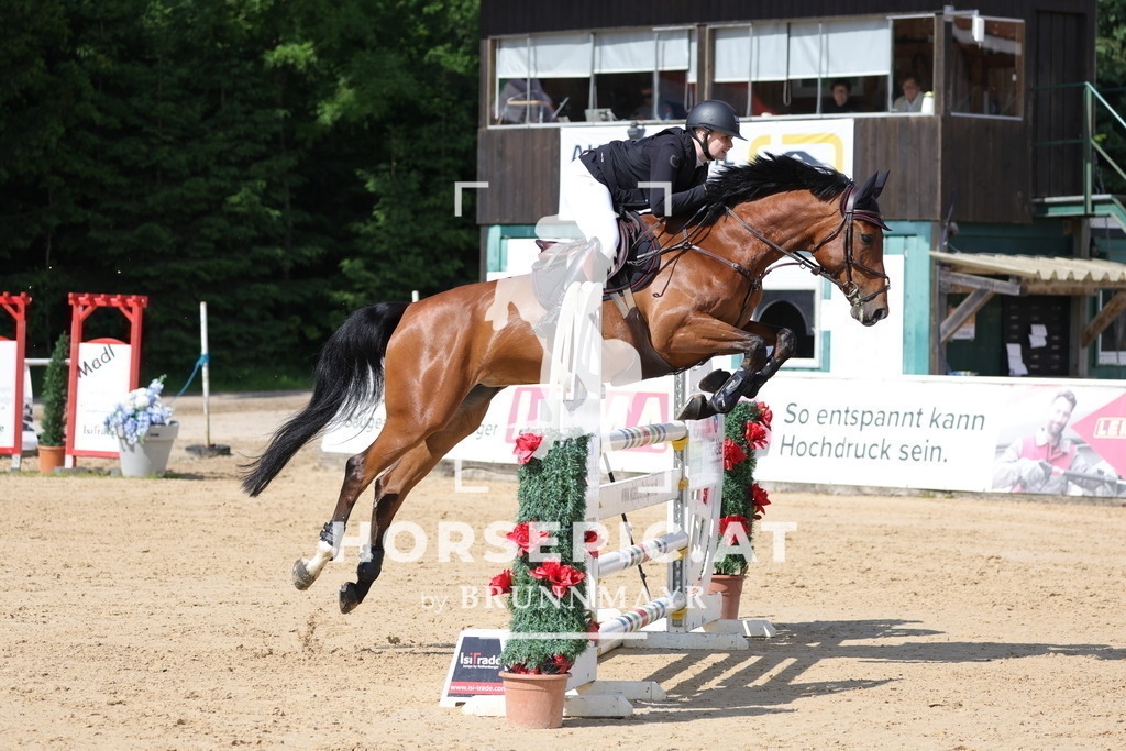 0P6A6751 | Willkommen bei Brunnmayr - Design & Fotografie – Ihrem Spezialisten für Reitturniere und Pferdeveranstaltungen in Oberösterreich, Salzburg und Bayern! Seit über 17 Jahren sind wir leidenschaftlich dabei.