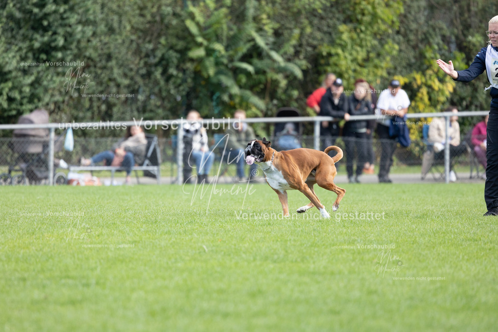 _16A5662 | Einzigartige Fotos von Hunden & Menschen –Actionfotos, Portraits, Vereinsaufnahmen & Paarshootings – authentisch, lebendig & mit Herz.