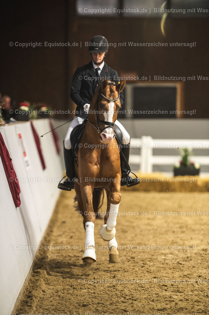 20240302_Hengstvorstellung_Marbach_TOMsPiC_0565 | equistock