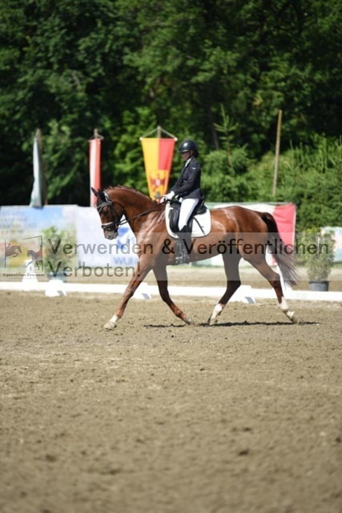 DSC_9784 | equestrian-live-com