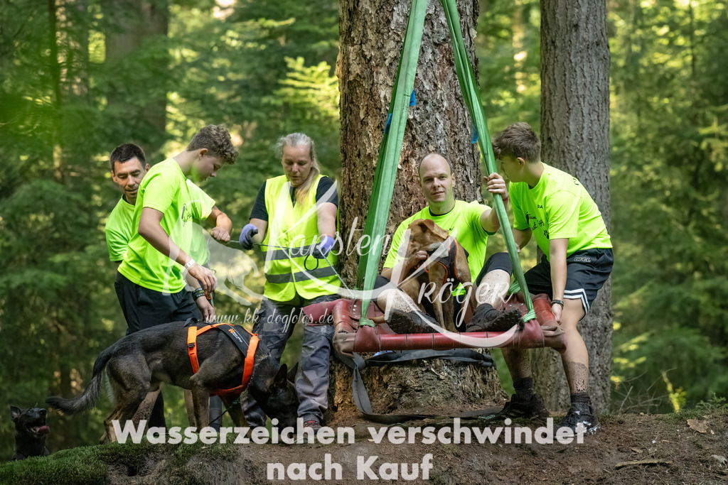 1410_ZZ94731-Bearbeitet-3 | kk-dogfotos