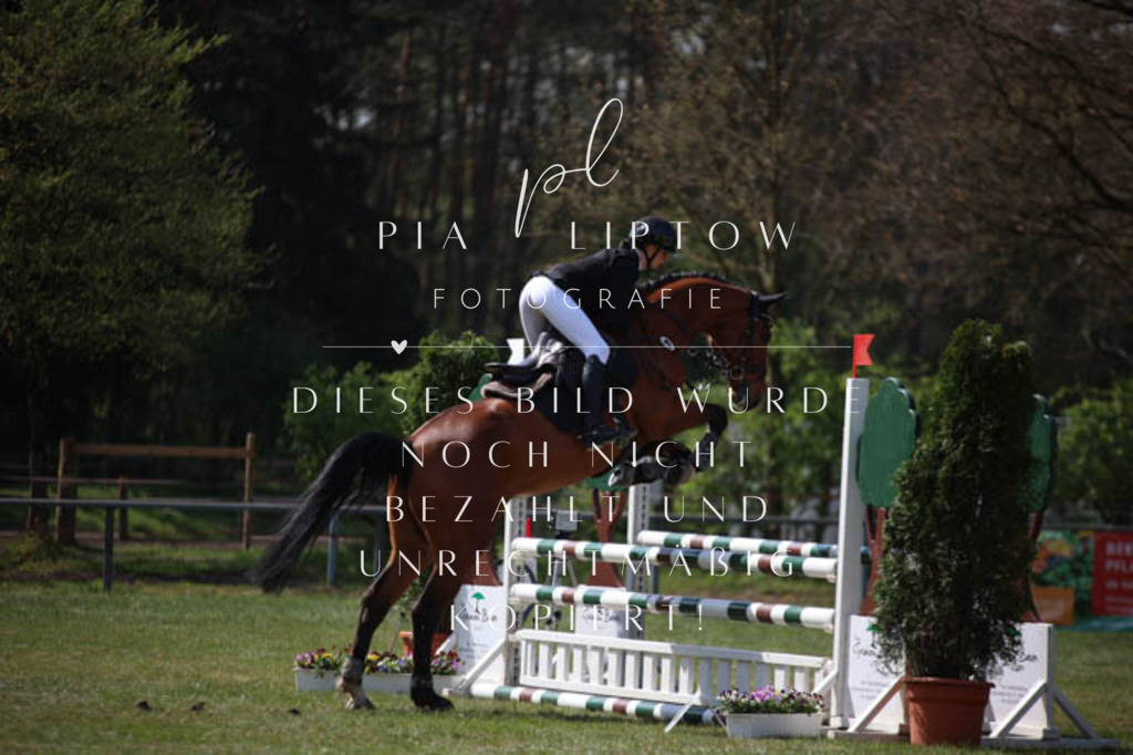 IMGT5501 | pl-fotografie