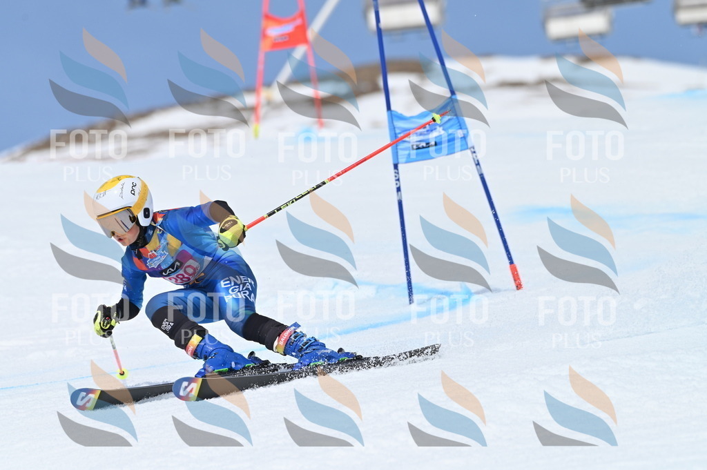 BGV_2413 | holidayphoto