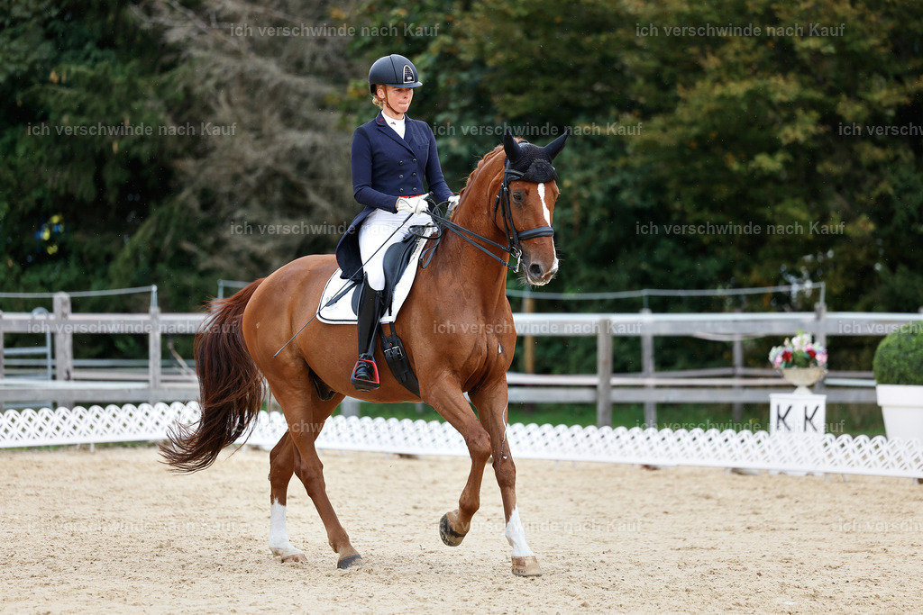 11-238-Dressur S___-StoibPH-966 | working equitationturnier fotograf videograf stoibphotography marixx film working equitation deutschland reitsport turnierfotografie eventfotografie equestrian events