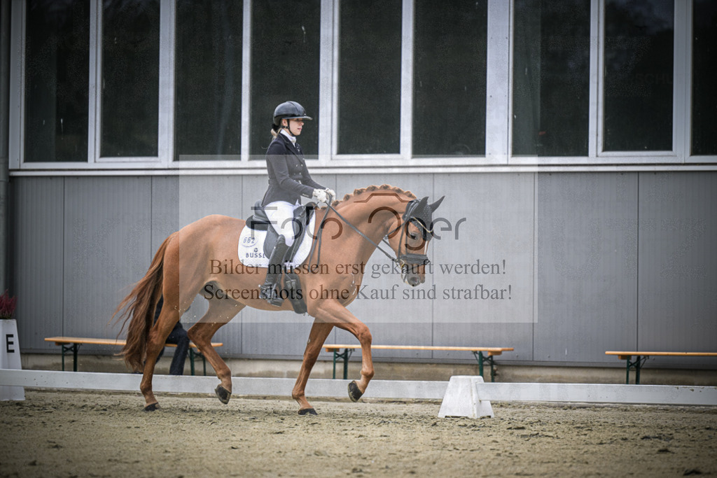DOS_1372 | Entdecke hochwertige Reitturnierfotos von Foto Oger. Professionell, emotional und authentisch – jetzt Lieblingsmomente im Shop bestellen.Deutschlandweite Turnierfotografie. - Realisiert mit Pictrs.com