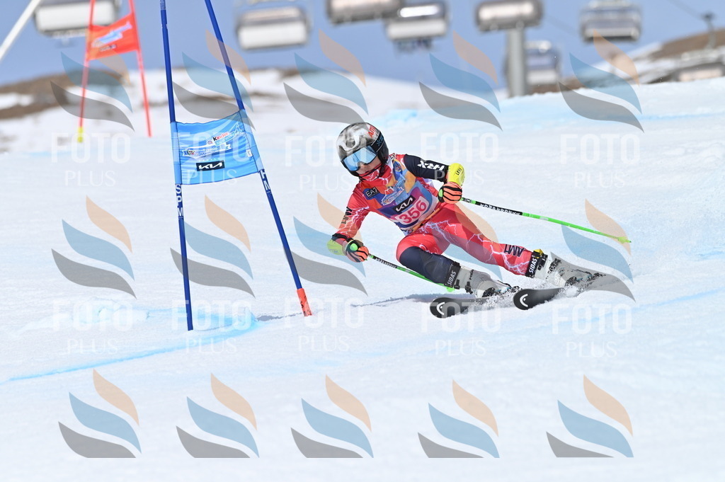 BGV_3764 | holidayphoto