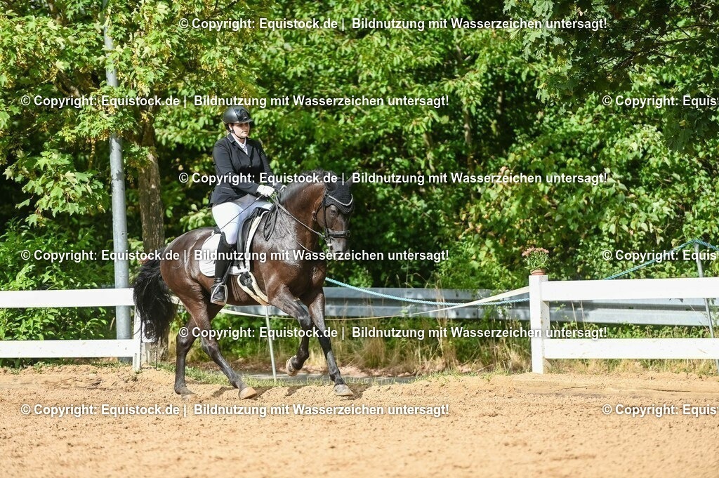 20230716_01_Dressurprüfung Kl.M_0586 | equistock