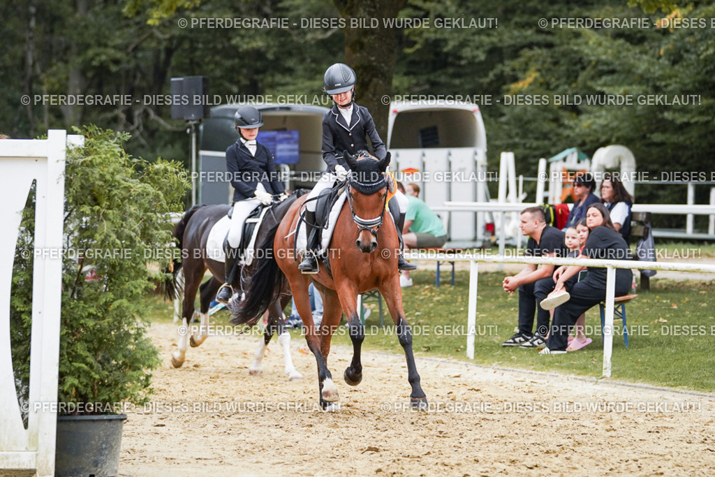 DSC06144 | Pferdegrafie