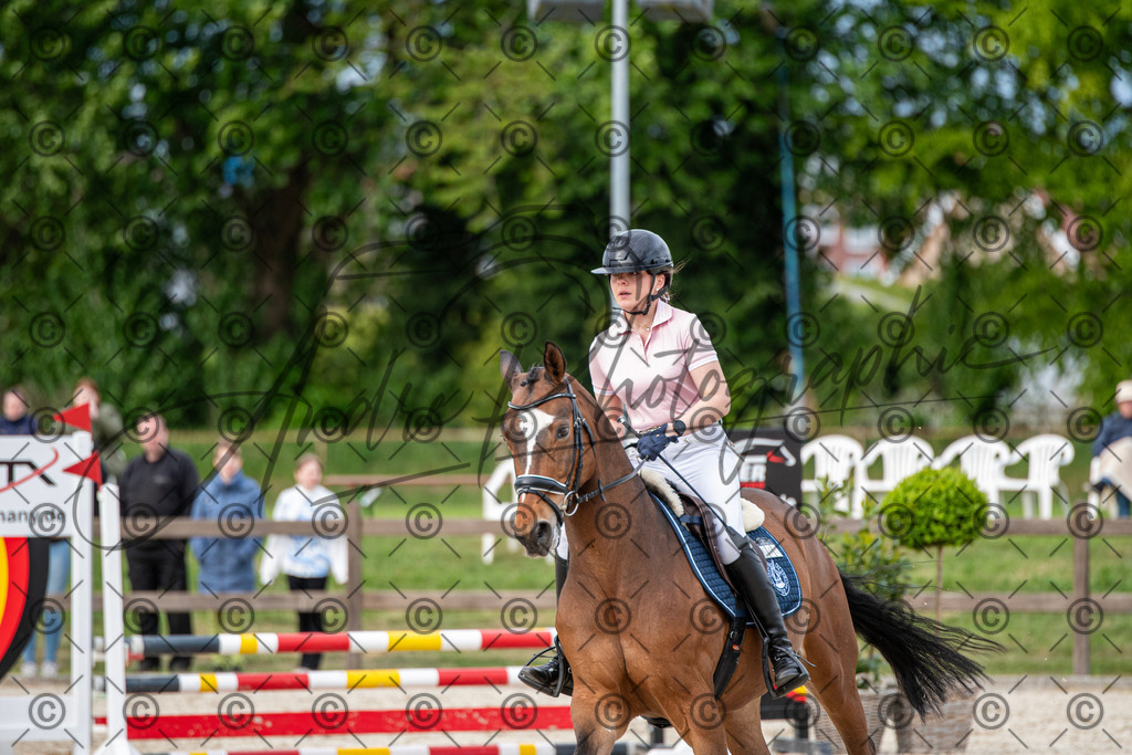 KPT_7201 | andre_photographic