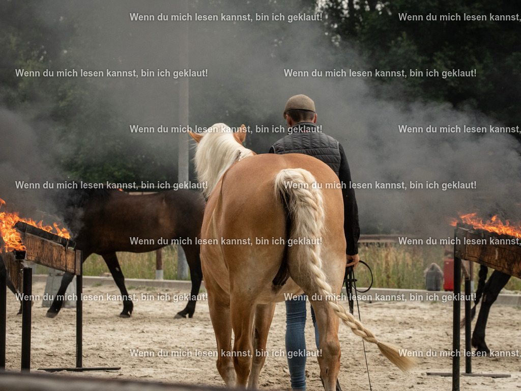 598A6995 | photographylinaismer - Realisiert mit Pictrs.com