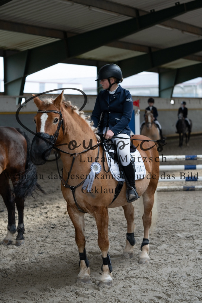 A7V07982 | Pferdefotograf