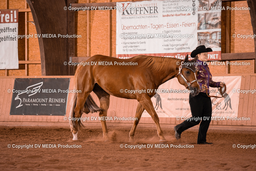 NE100098 | dv-media-shop - Realisiert mit Pictrs.com