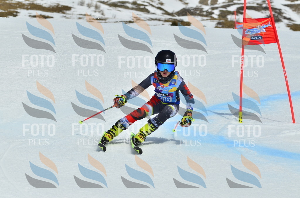 _ELE2157 | holidayphoto