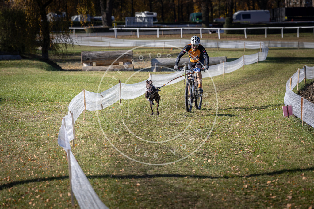 CaniXpix_DV3A5570 | Hundefotografie, Tierfotograf, Pfotenfotografie, Fotoshooting Hund, Hunde Portrait, Hundesport, Hundeportraits, Heideshooting, Hunde, Sportfotograf, Hundefotograf, Turnierhundsport, THS,  - Realisiert mit Pictrs.com