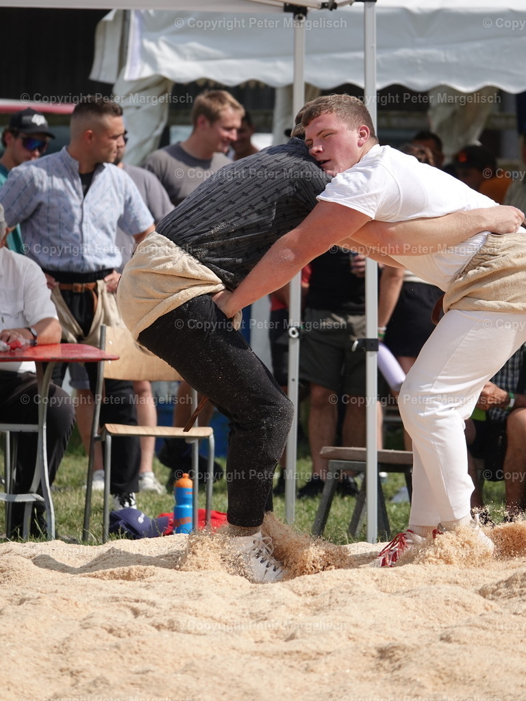 DSC05163 | Schwingen - Realisiert mit Pictrs.com