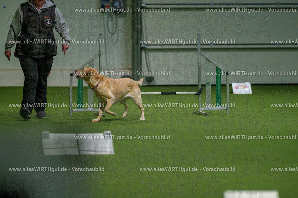 7R504658 | Professionelle Tierfotografie in Mönchengladbach von Daniel Wirth (allesWIRTHgut). Liebevolle & natürliche Bilder von Hunden & Katzen für unvergessliche Erinnerungen.