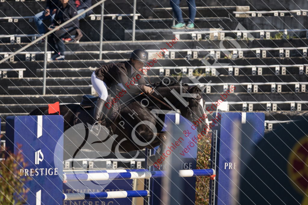 IMG_3050 | Sport-, Event- und Tierfotos in Profiqualität. Einfach auswählen, bestellen und herunterladen. Dein Moment – perfekt festgehalten.