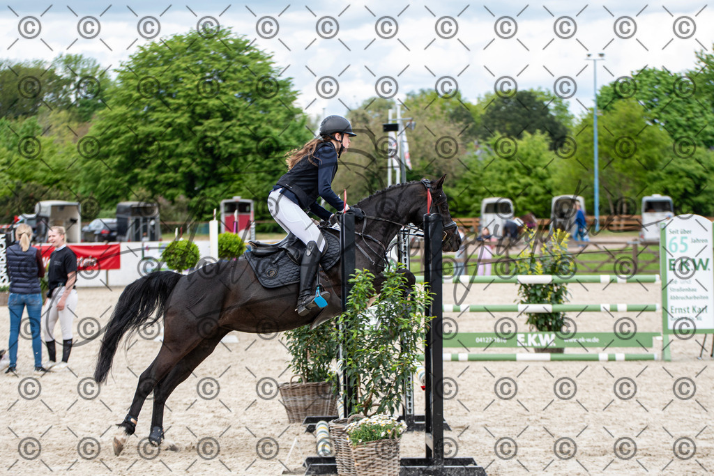 KPT_6370 | andre_photographic