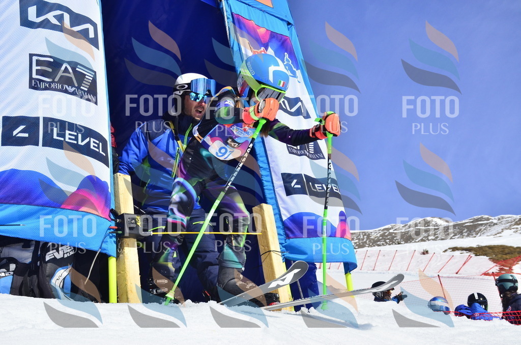 _ELE0541 | holidayphoto