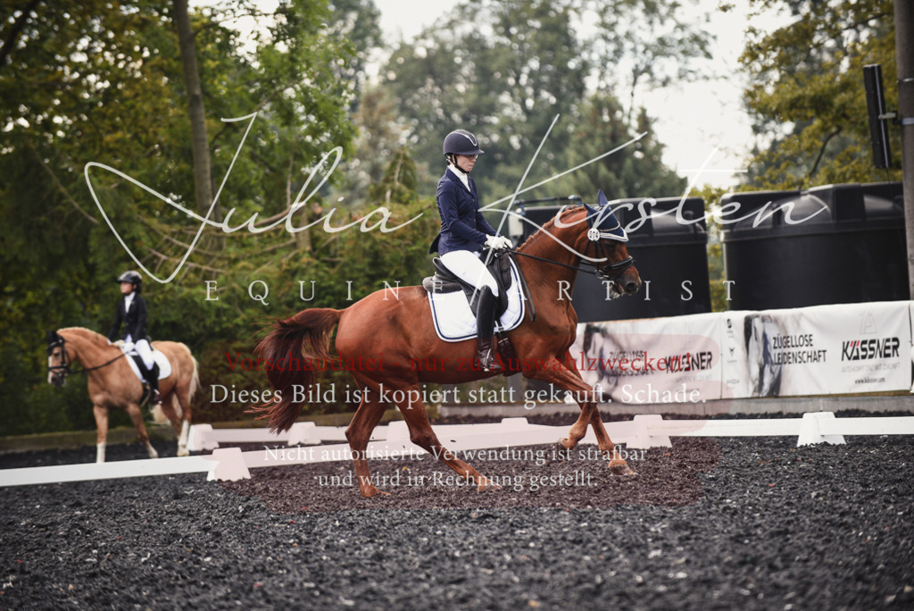 DSC_3796 | Pferde- und Turnierfotografie in Westsachsen. Pferdeportraits, Auftragszeichnungen und intuitive Kunst.