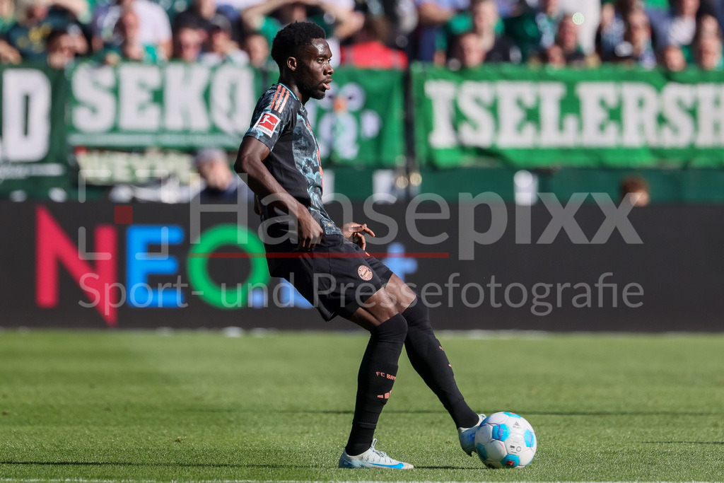 Fussball, Bundesliga, SV Werder Bremen - FC Bayern München | v.li.: Alphonso Davies (FC Bayern München, 19) am Ball, Freisteller, Einzelbild, Ganzkörper, Aktion, Action, Spielszene, DIE DFL-RICHTLINIEN UNTERSAGEN JEGLICHE NUTZUNG VON FOTOS ALS SEQUENZBILDER UND/ODER VIDEOÄHNLICHE FOTOSTRECKEN. DFL REGULATIONS PROHIBIT ANY USE OF PHOTOGRAPHS AS IMAGE SEQUENCES AND/OR QUASI-VIDEO.