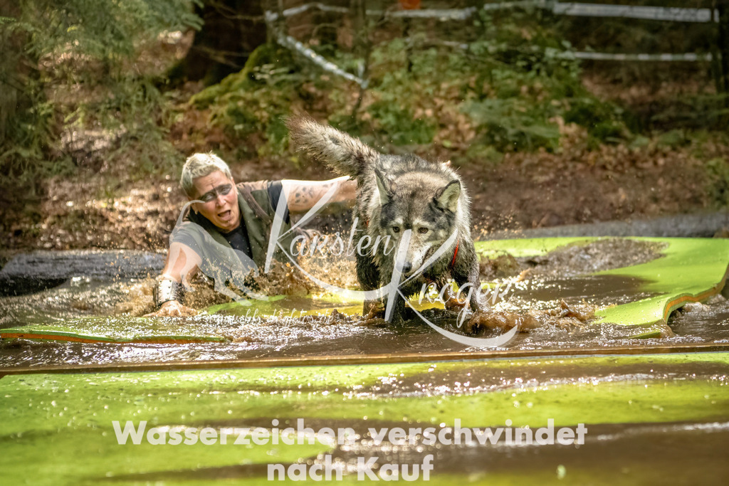 1406_ZZ91000-Bearbeitet | kk-dogfotos