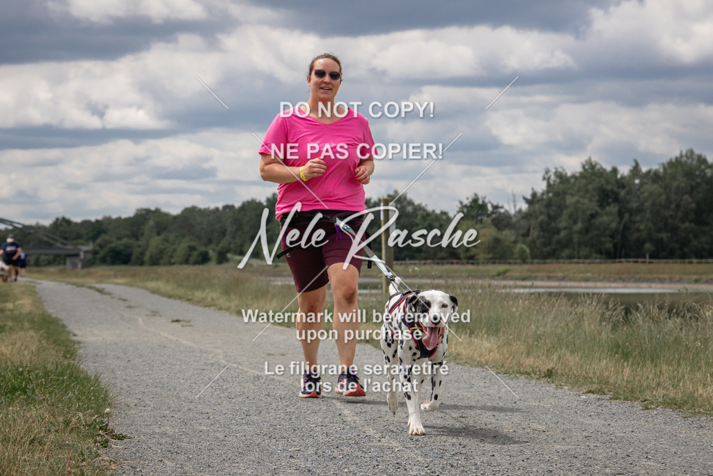 nelerasche_BuHu2026_SaCC1100-1200_262 | nelerasche