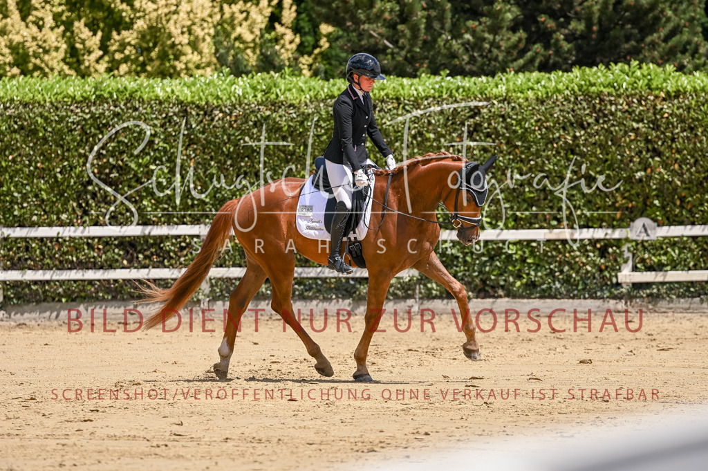 Schugtsche-Aluta25-48.Reitpferfdeprf.-304 | Schugtsche Fotografie - Realizzato con Pictrs.com
