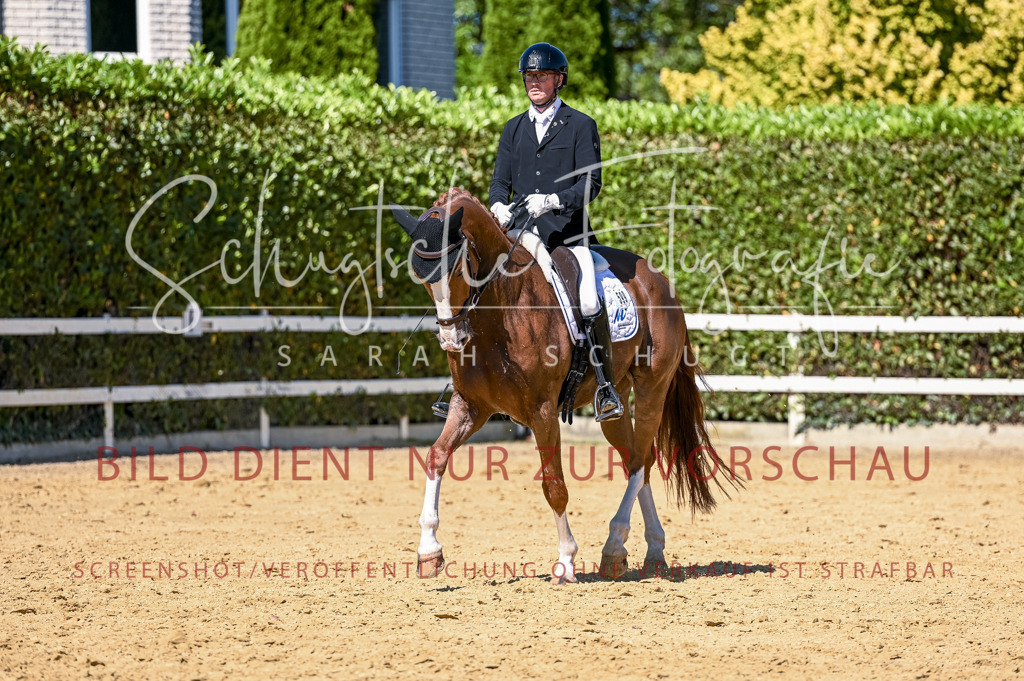 Schugtsche-Aluta25-50.Dressurpferdeprf.L-22 | Schugtsche Fotografie - Realisiert mit Pictrs.com