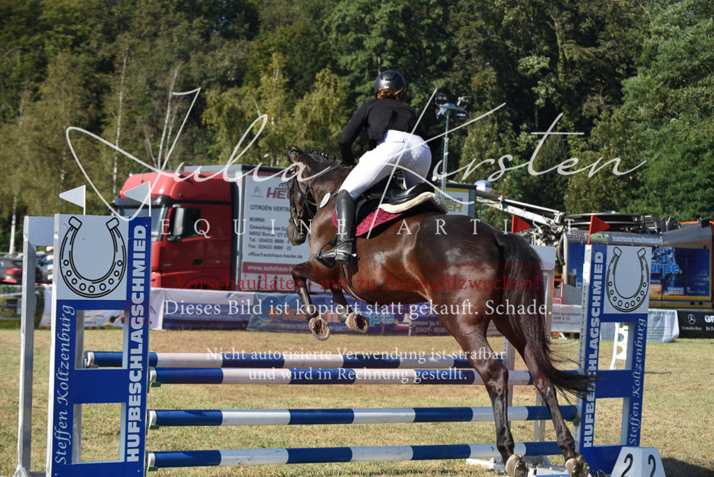 DSC_5379 | Pferde- und Turnierfotografie in Westsachsen. Pferdeportraits, Auftragszeichnungen und intuitive Kunst.