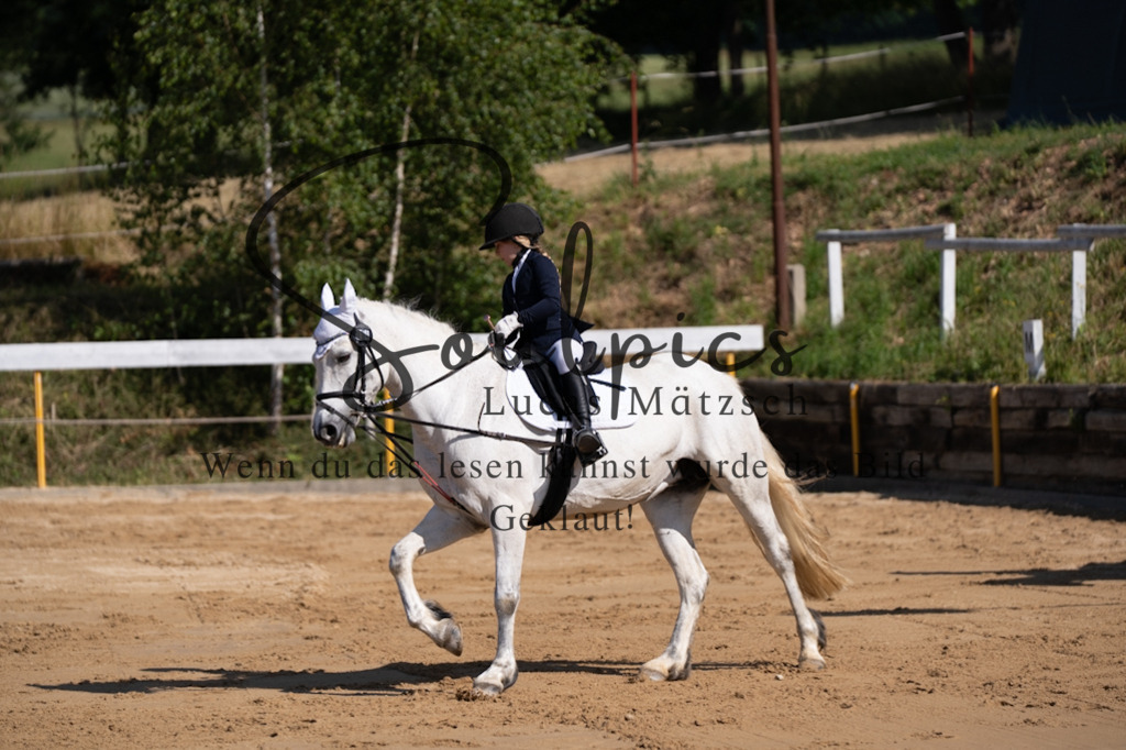 A7V07734 | Turnier/Reitfotograf