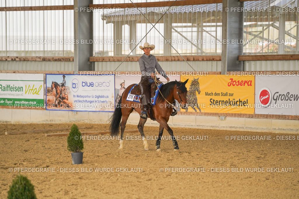 DSC02170 | Pferdegrafie