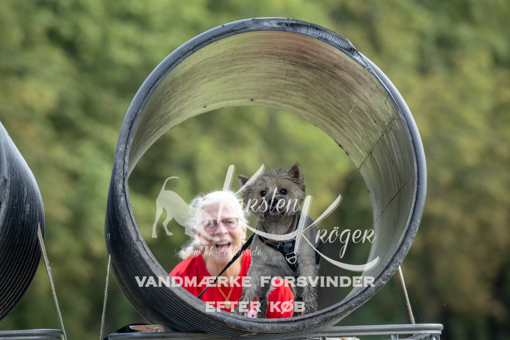 1155_ZZ90808 | kk-dogfotos