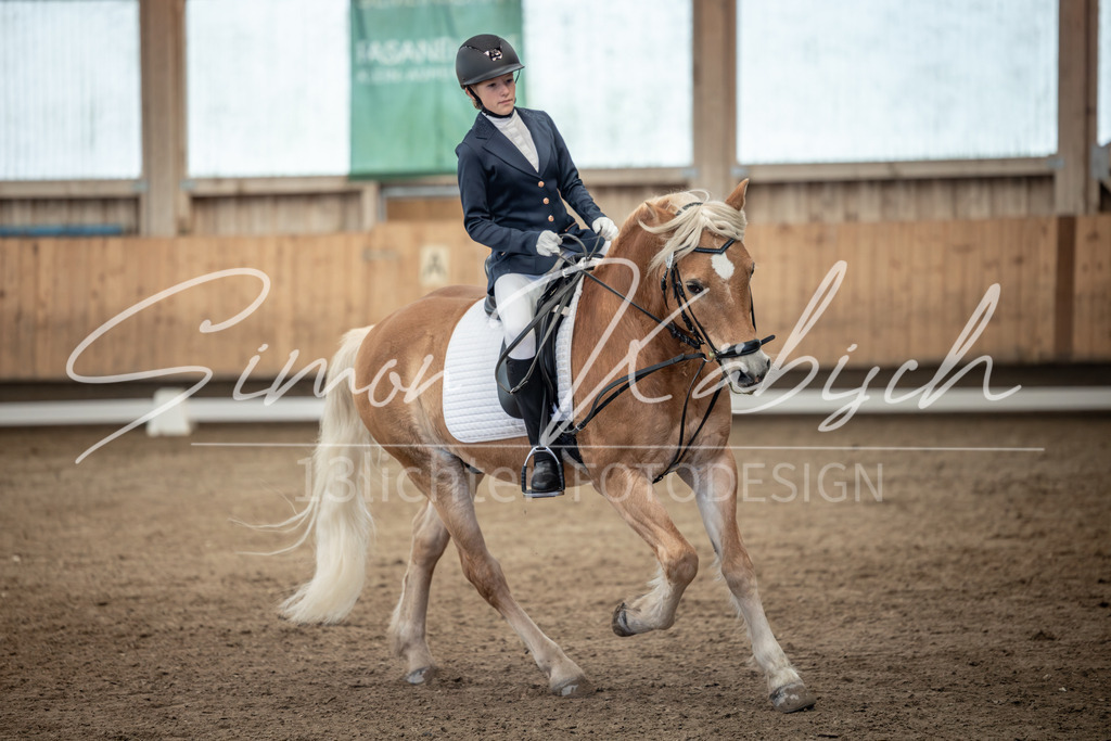 20251011-_3LI8353 | Tierfotografie Pferde, Hunde, Katzen, Haustiere.
Turnierfotografie Reitturniere, Reiten, Springreiten, Dressur in Hanau, dem Main-Kinzig-Kreis und dem Rhein-Main- Gebiet um Frankfurt