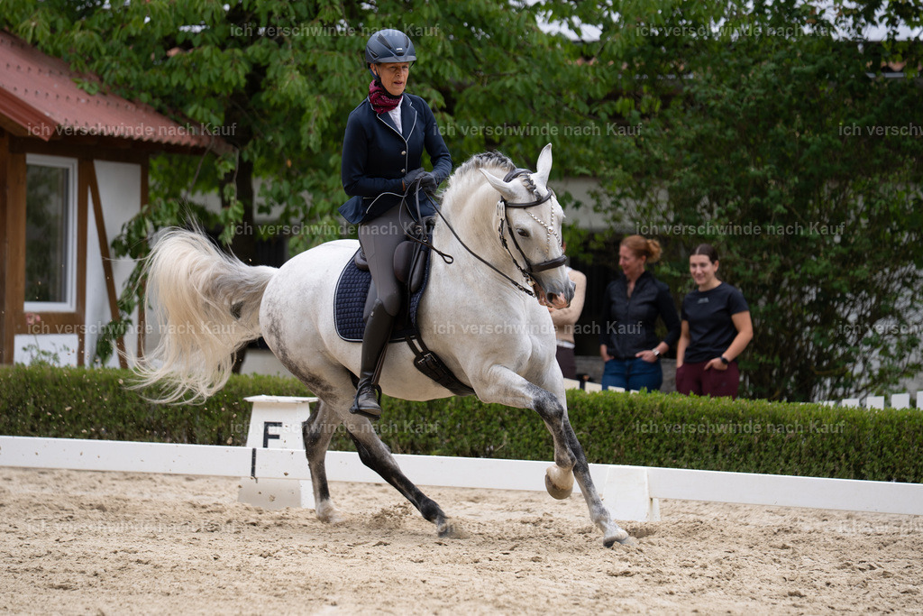 WS_DR_11_sinafilmart_IN01877 | working equitationturnier fotograf videograf stoibphotography marixx film working equitation deutschland reitsport turnierfotografie eventfotografie equestrian events