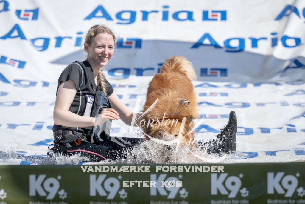 1207_ZZ94868 | kk-dogfotos