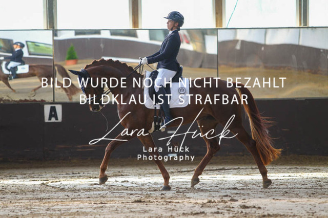 DKP45702 | larahueckfotografie