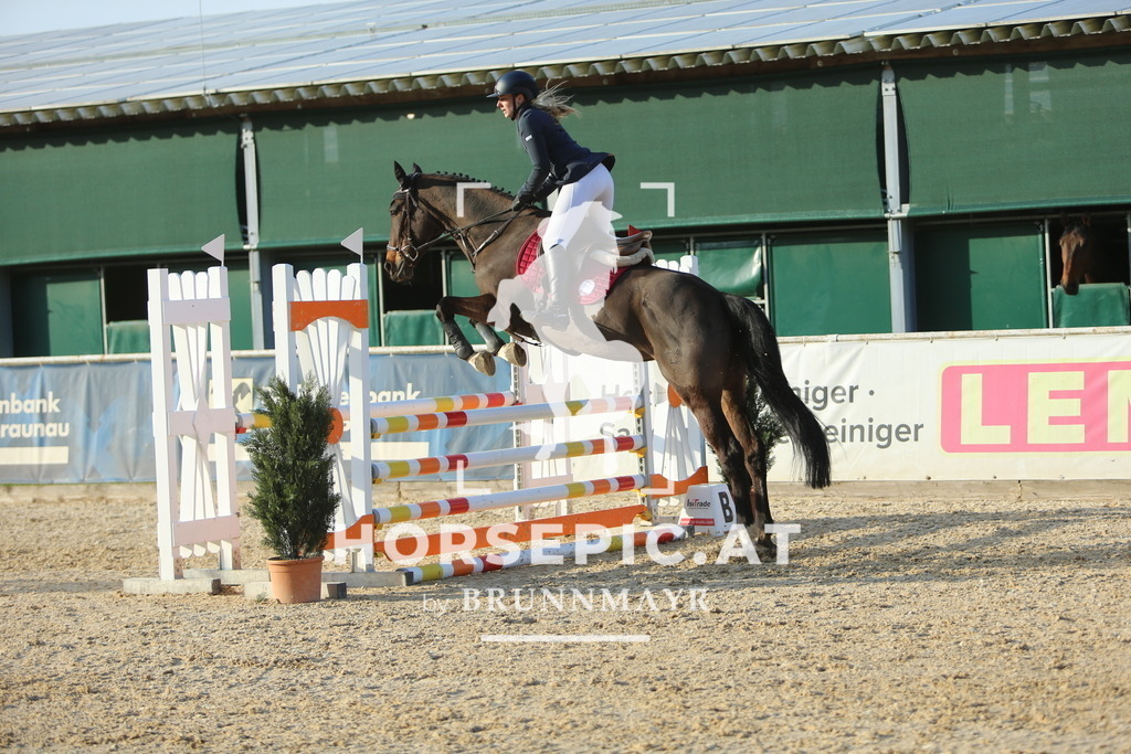 DL2Q4470 | Willkommen bei Brunnmayr - Design & Fotografie – Ihrem Spezialisten für Reitturniere und Pferdeveranstaltungen in Oberösterreich, Salzburg und Bayern! Seit über 17 Jahren sind wir leidenschaftlich dabei.