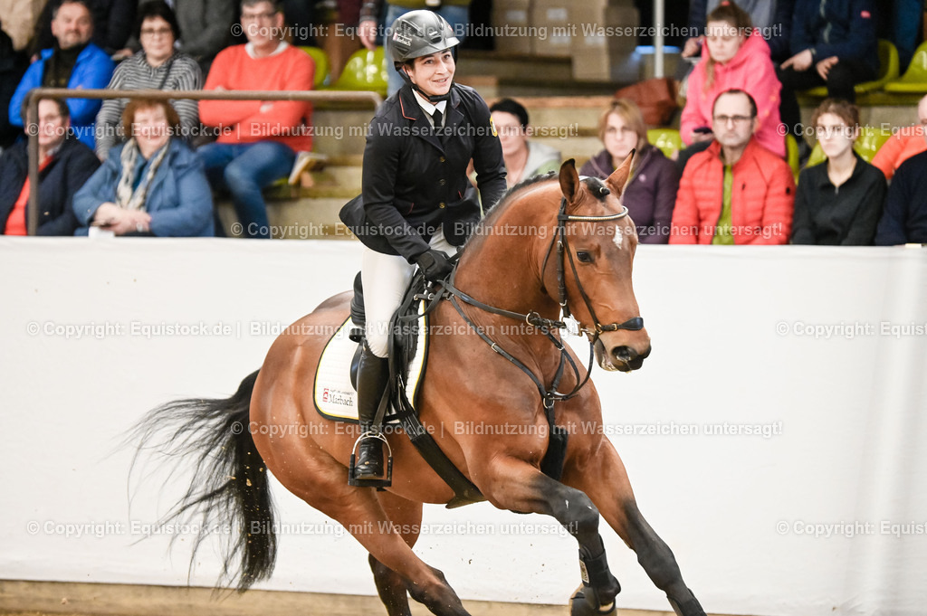 20260307_Hengstvorstellung-Marbach_0023 | equistock